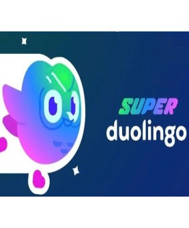 Super Duolingo 1 Jahr Subscription Code FR Key EUROPE